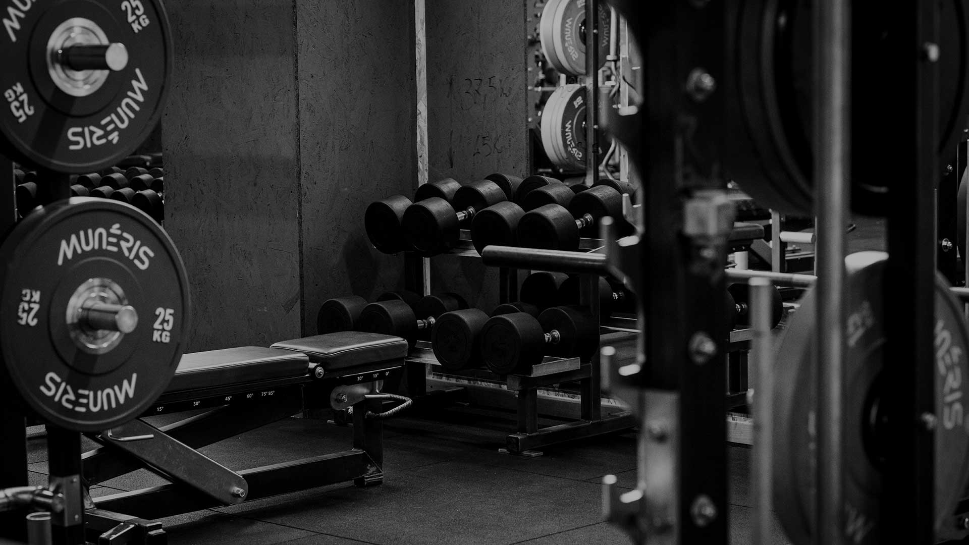 palestra planet body perugia muneris